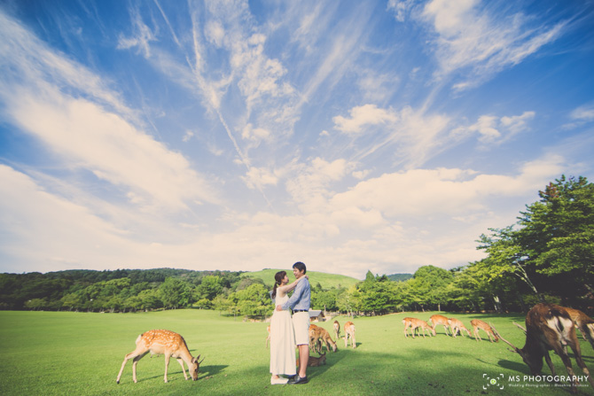 nara-bridal-3